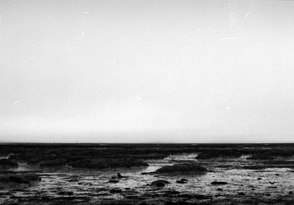 a black and white photo of a person flying a kite