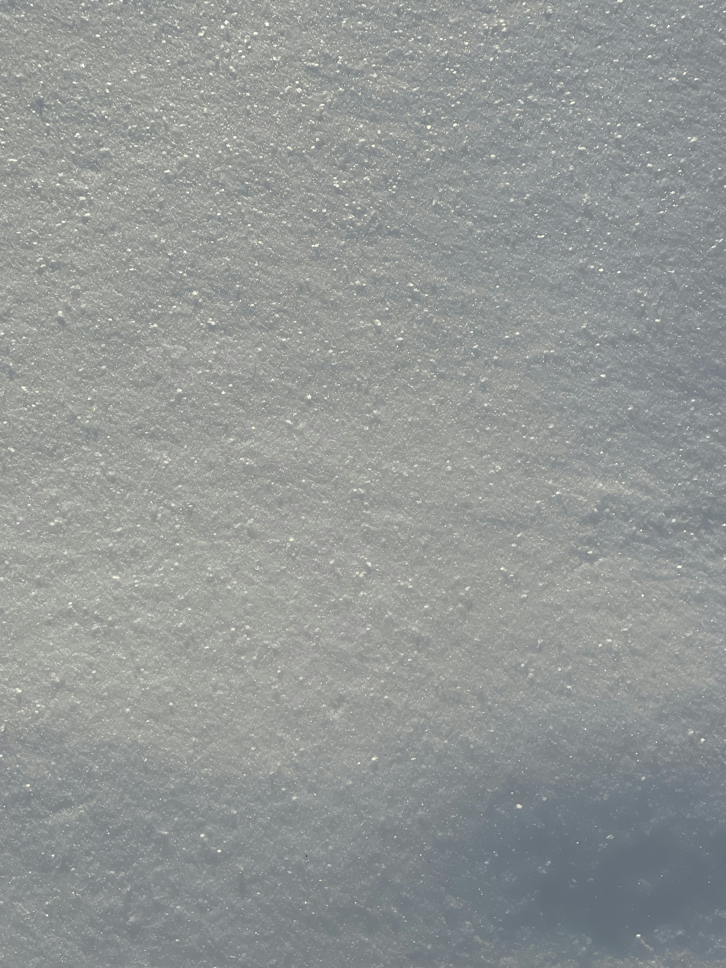 Photo by dariakorneva