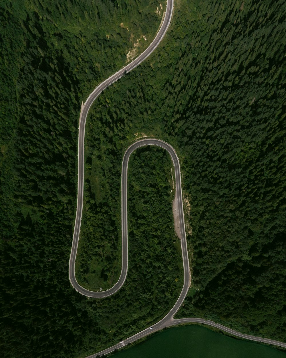 a winding road in the middle of a forest