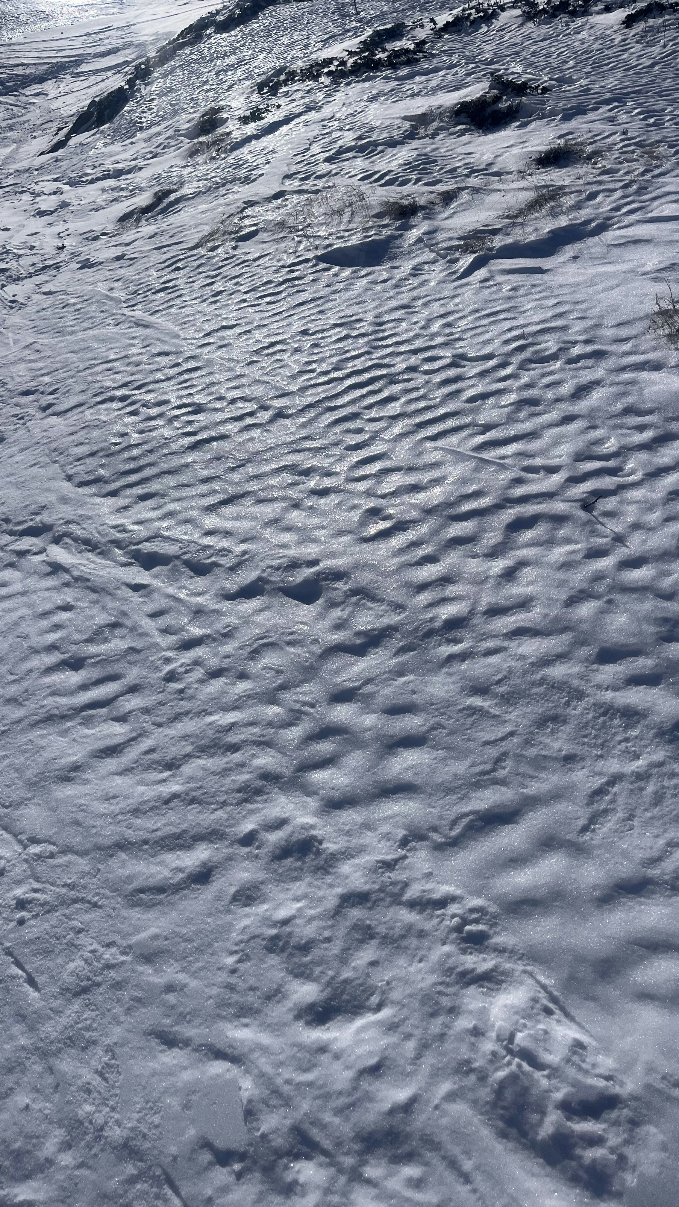 Photo by dipsysselection