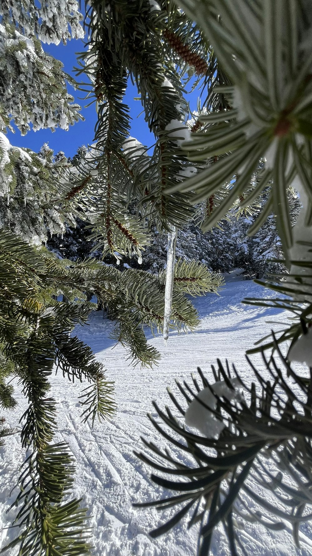 a snowboarder is going down a snowy hill