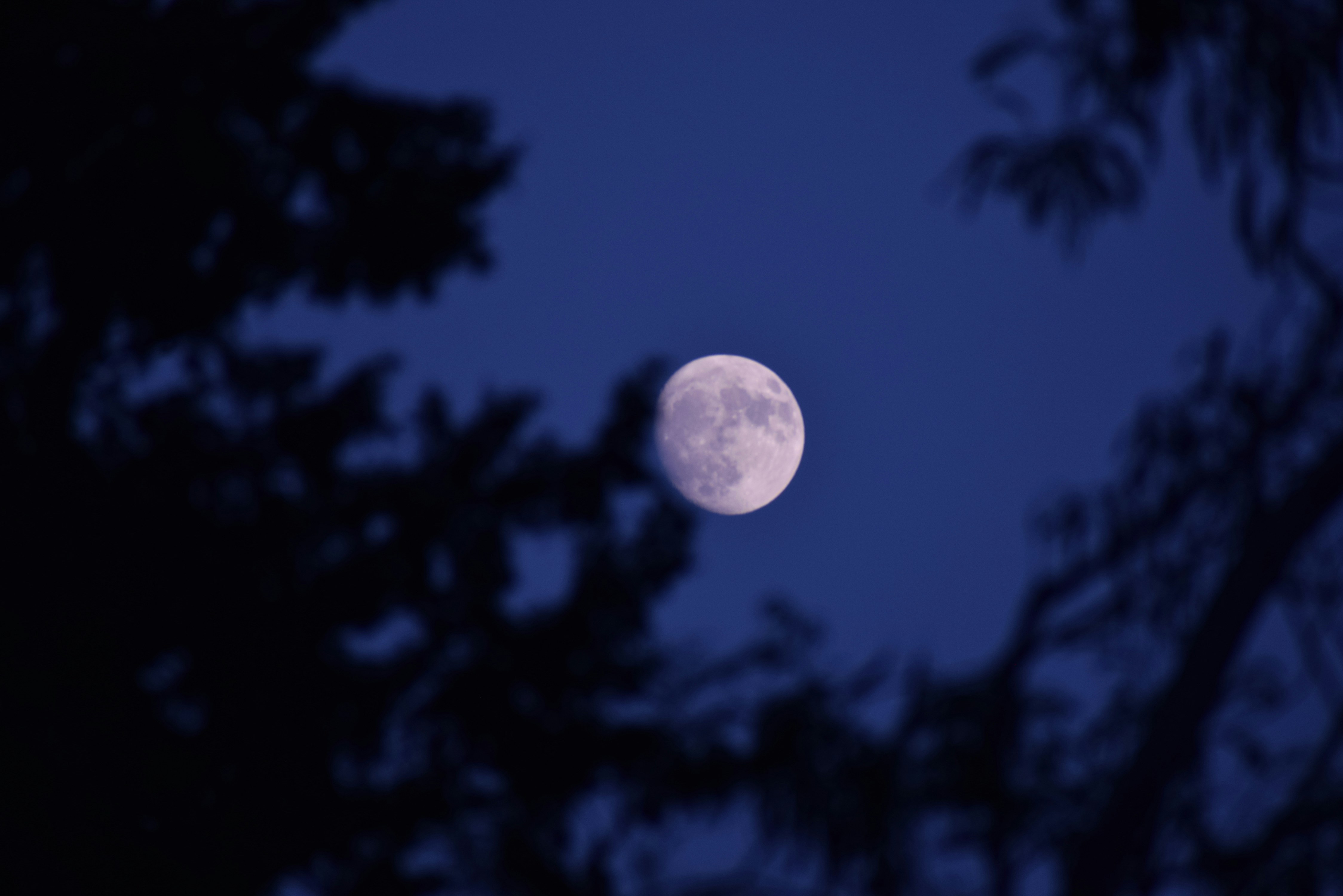 Photo by maheerakulsoom