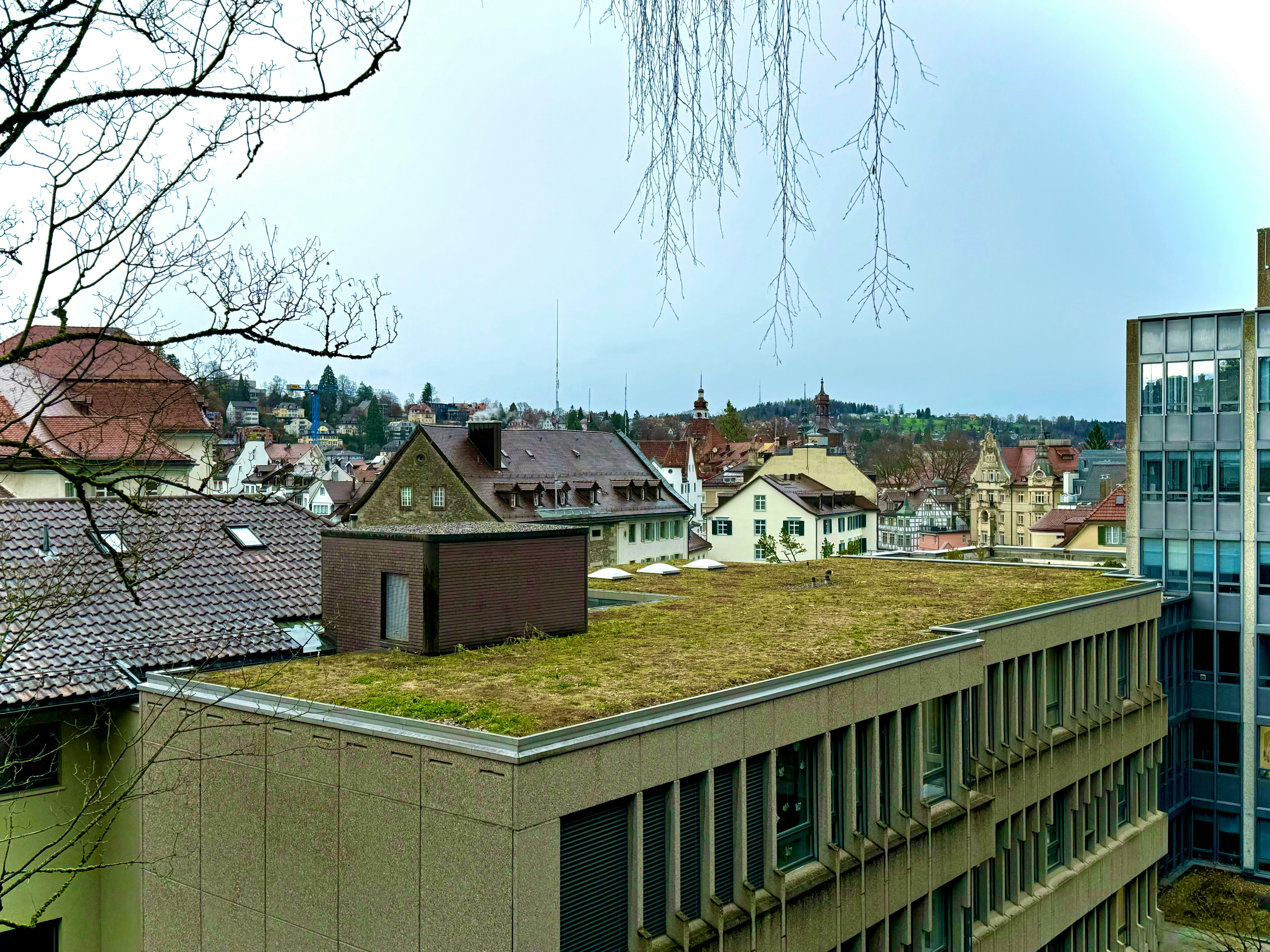Ein begrüntes Dach auf einem Gebäude in einer Stadt