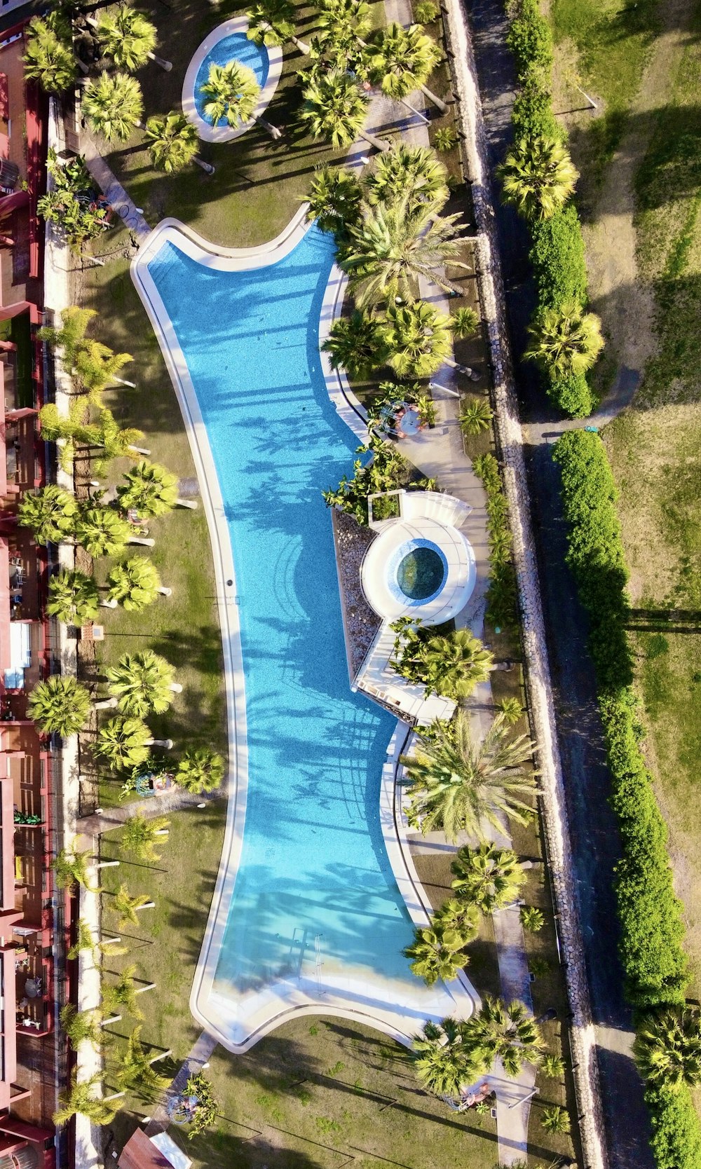 an aerial view of a pool surrounded by palm trees