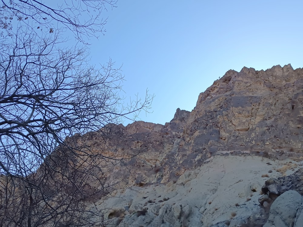 a mountain with a tree in the foreground and a blue sky in the background