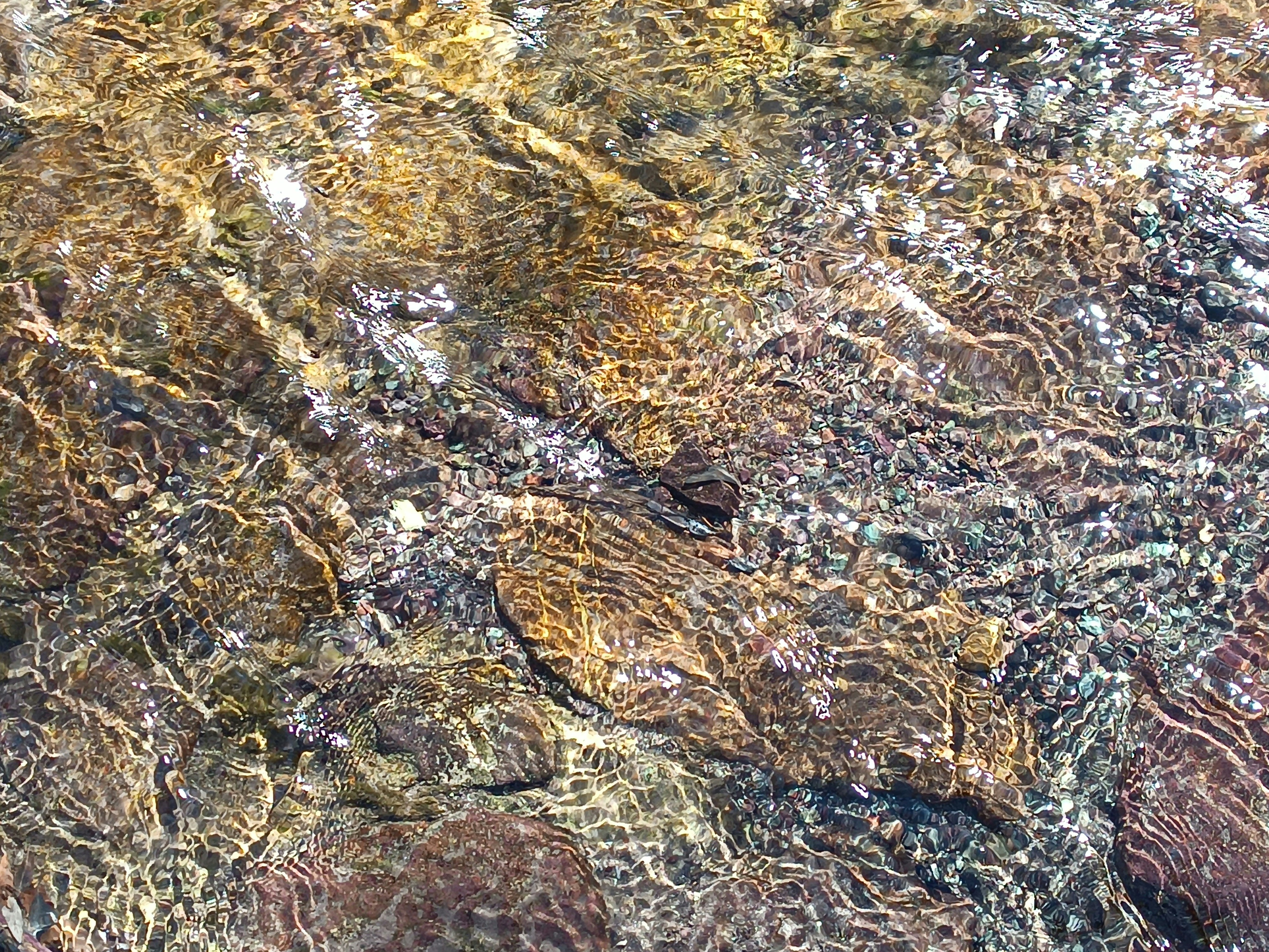 Photo by paris_nature_photo