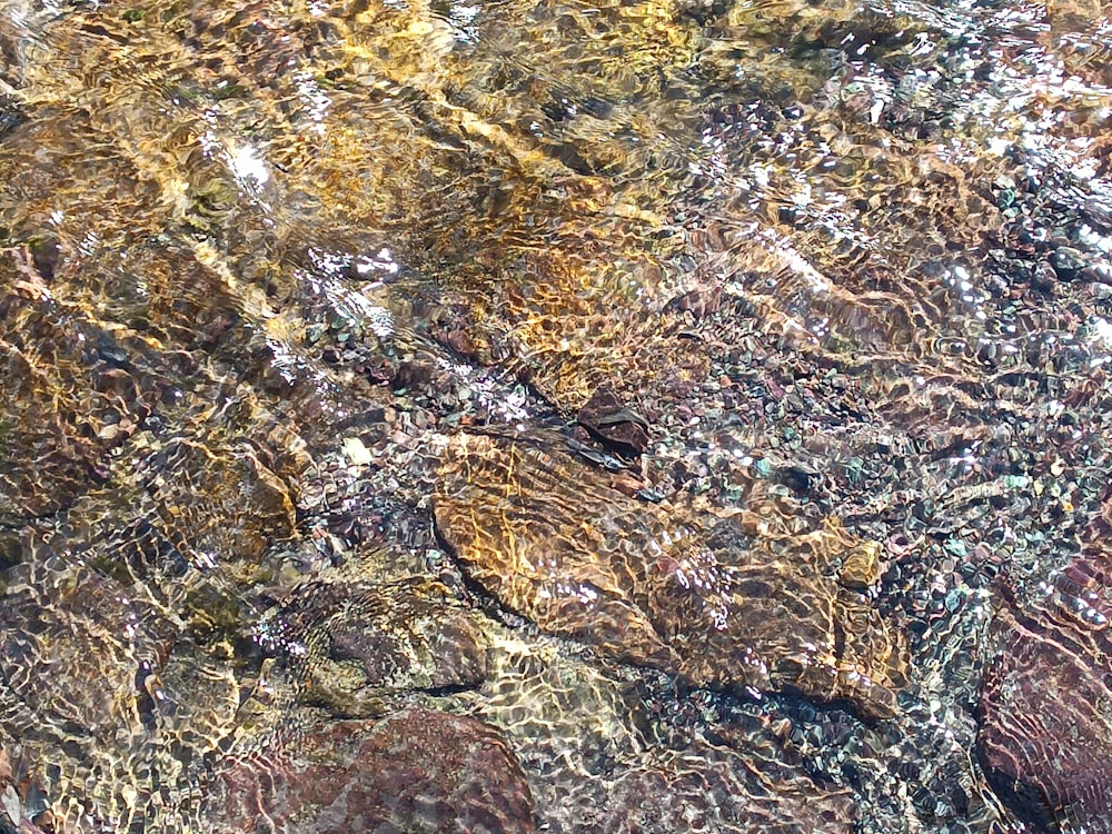 a close up of water with rocks under it