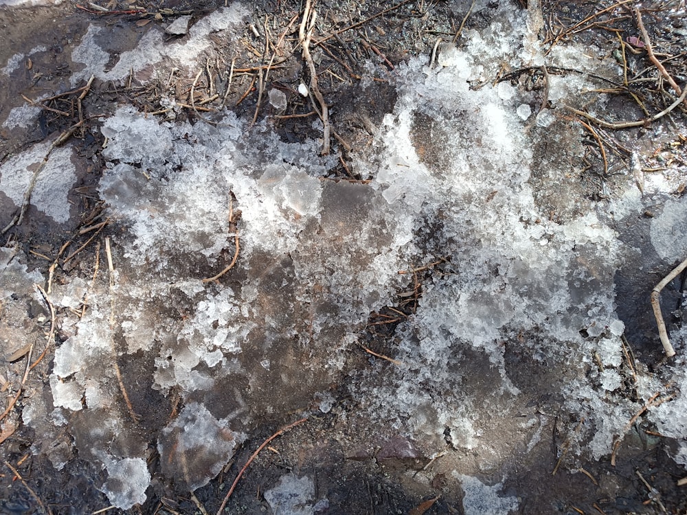 a patch of grass covered in ice and snow