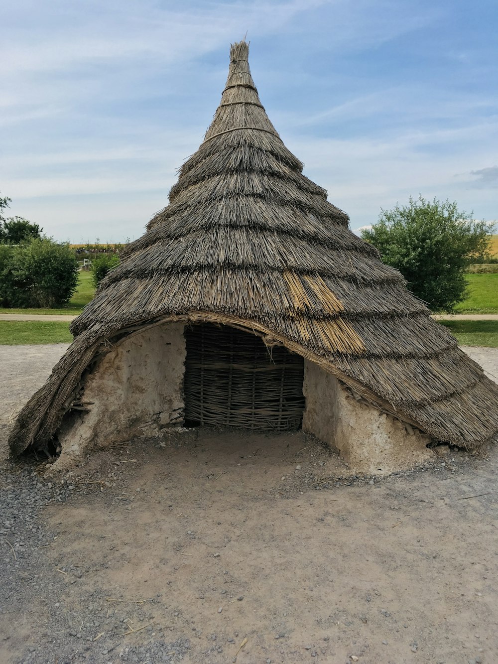a hut with a thatched roof in a field