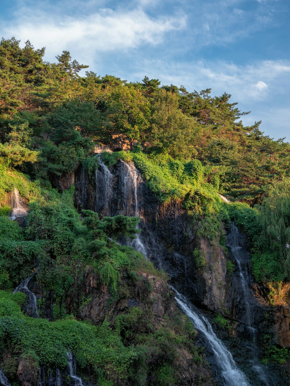 a waterfall with a lush green forest on the side of it