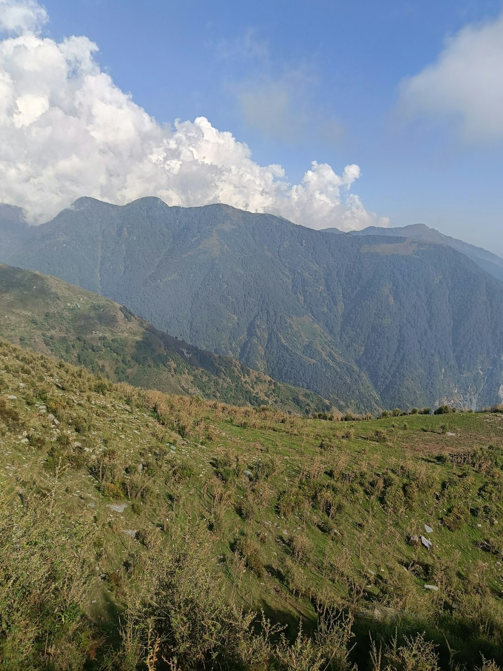 a grassy field with mountains in the background