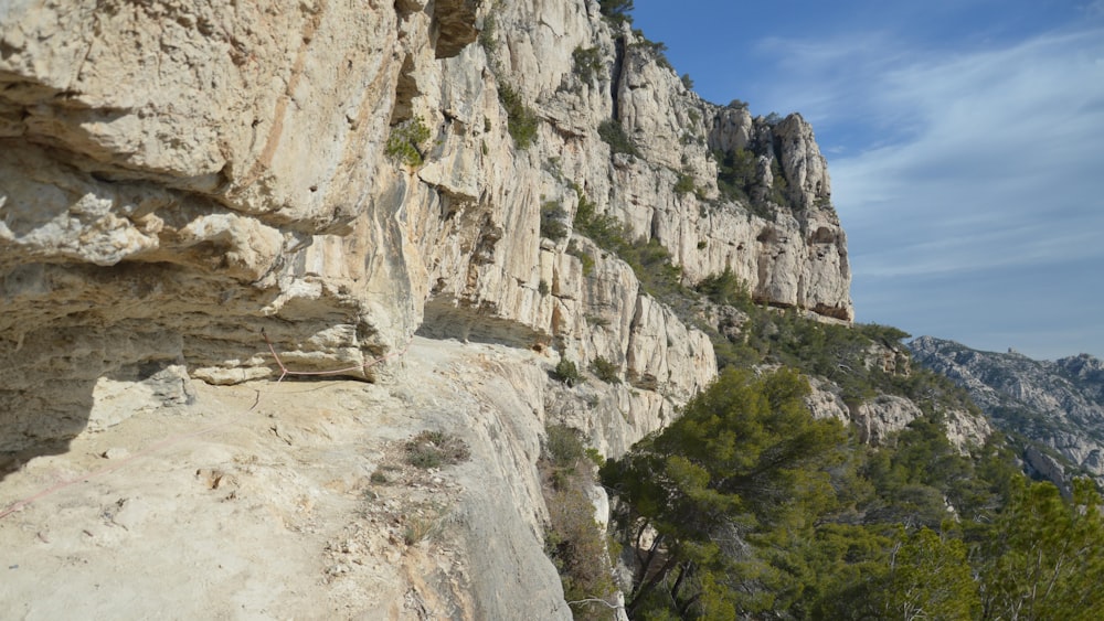 a view of a rocky cliff with trees on the side