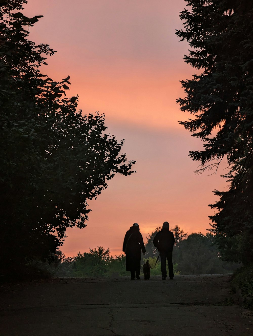 a couple of people walking down a dirt road