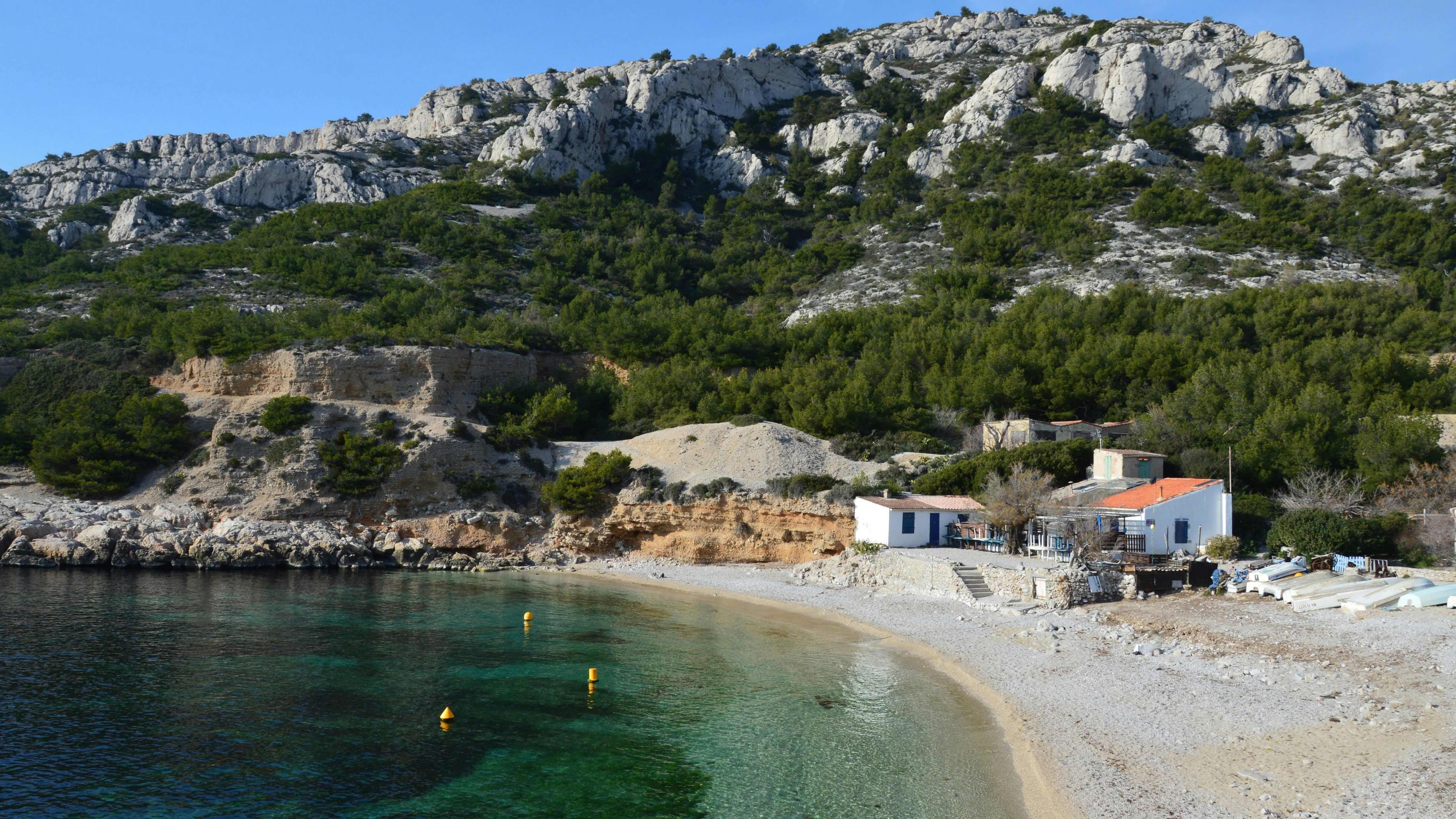 a sandy beach next to a forest covered mountain