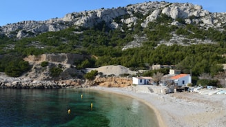 a sandy beach next to a forest covered mountain