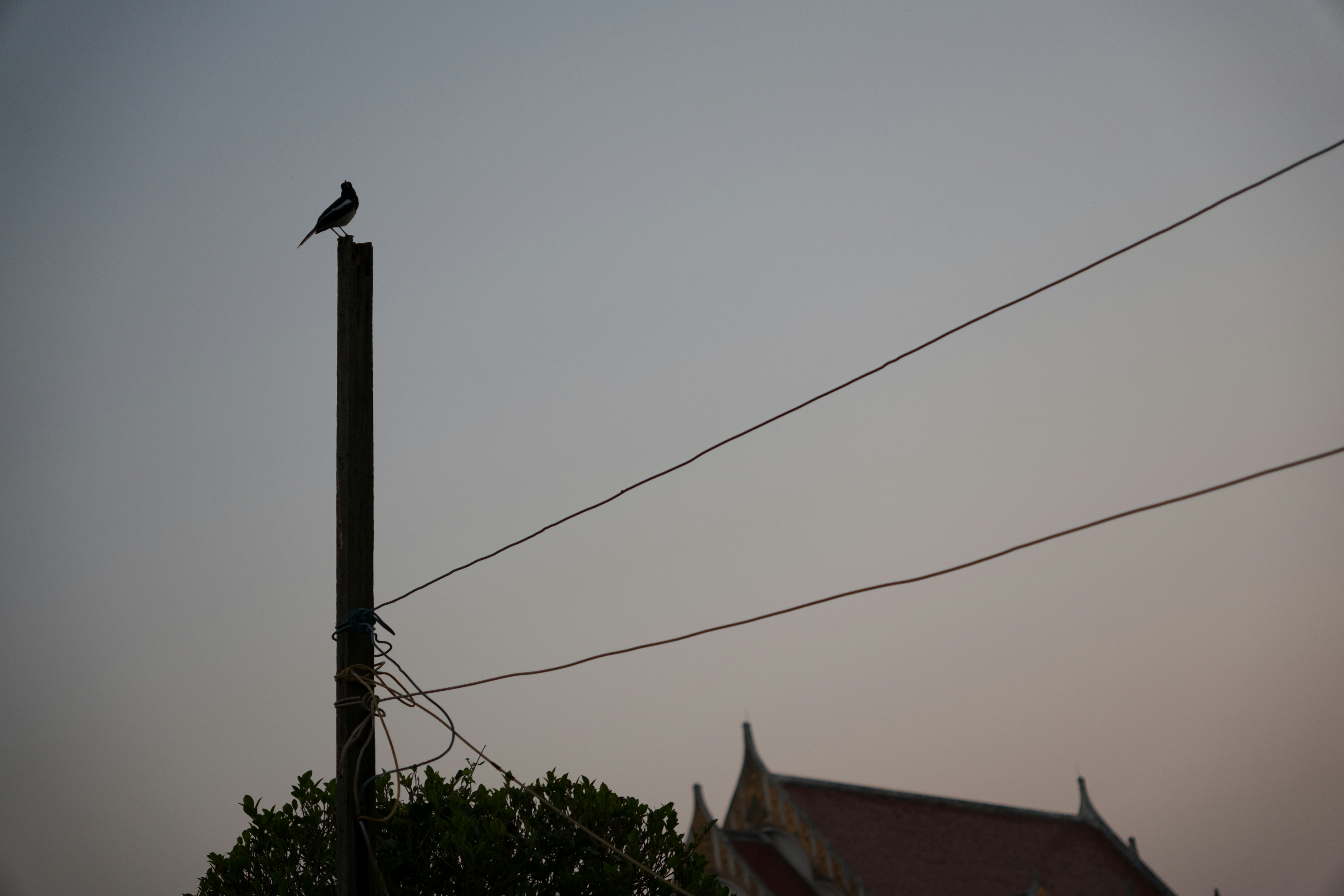 Photo by supavit_saengthongyoi