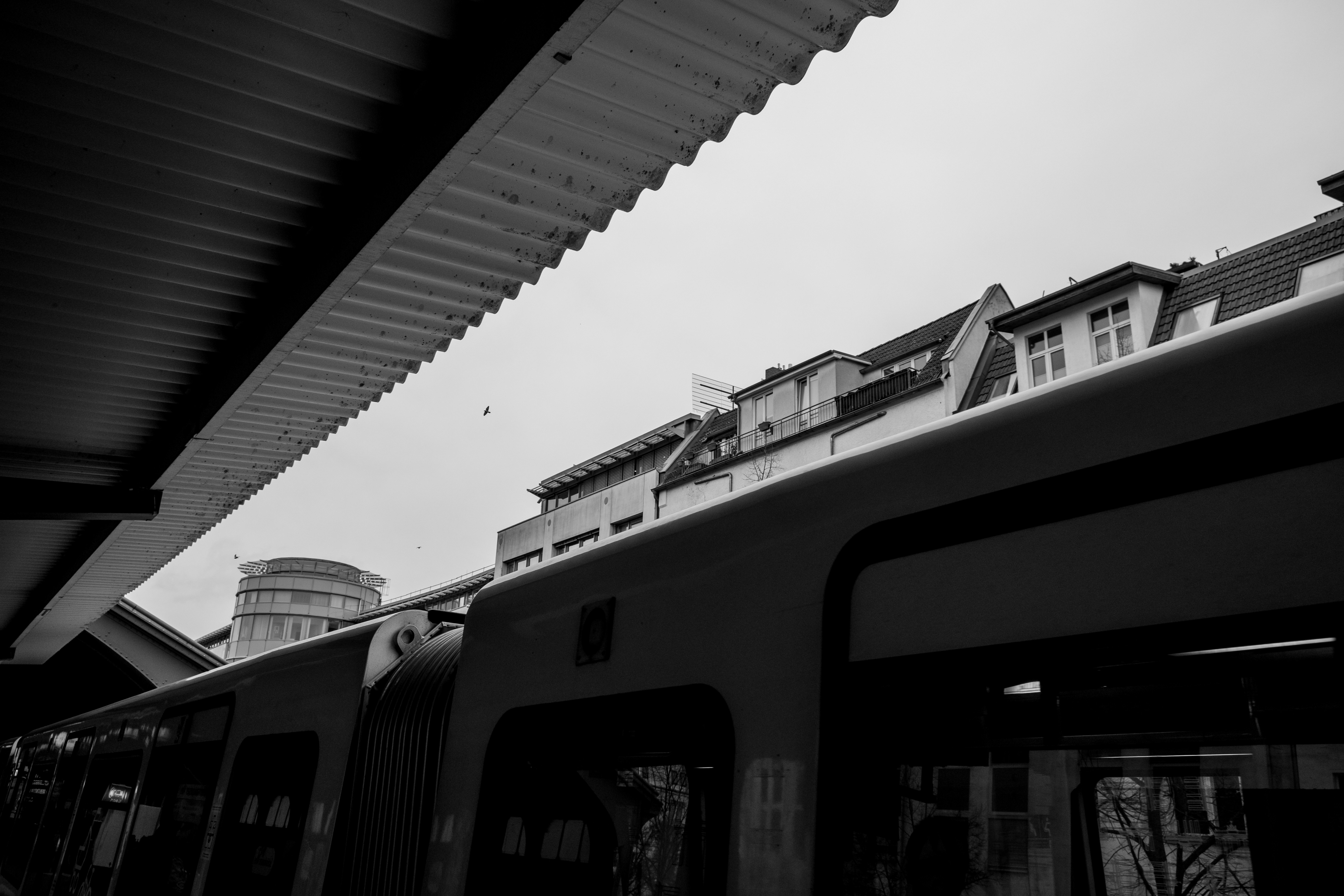 Photo by albertobiondifoto