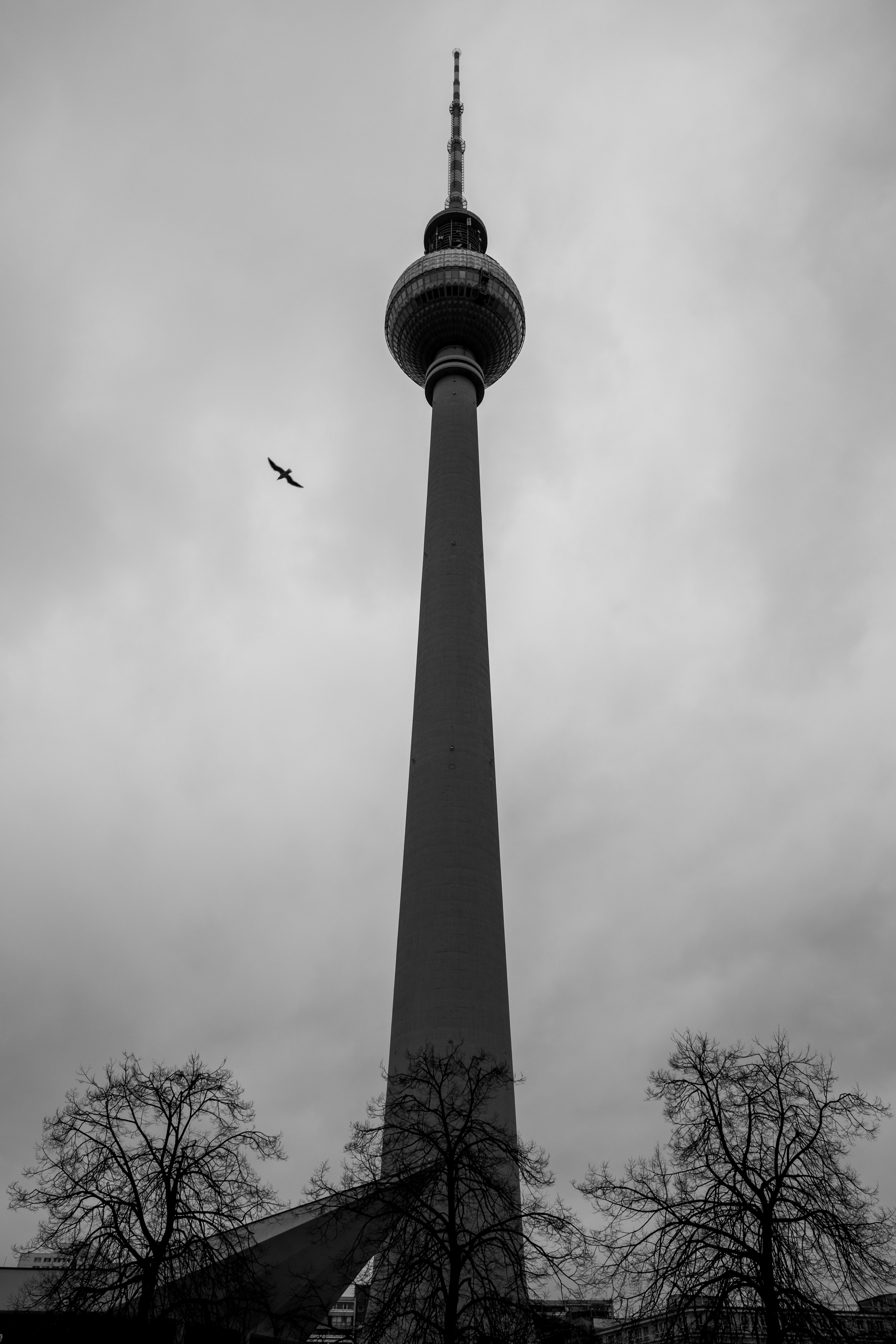 Photo by albertobiondifoto