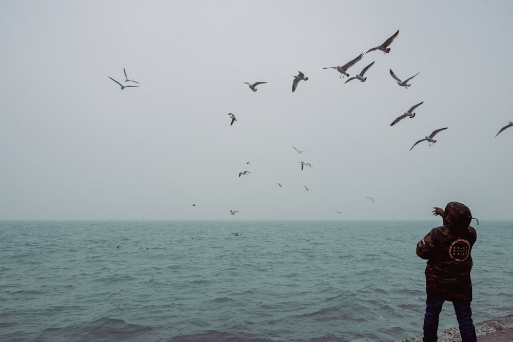 a person standing on a beach looking at a flock of birds