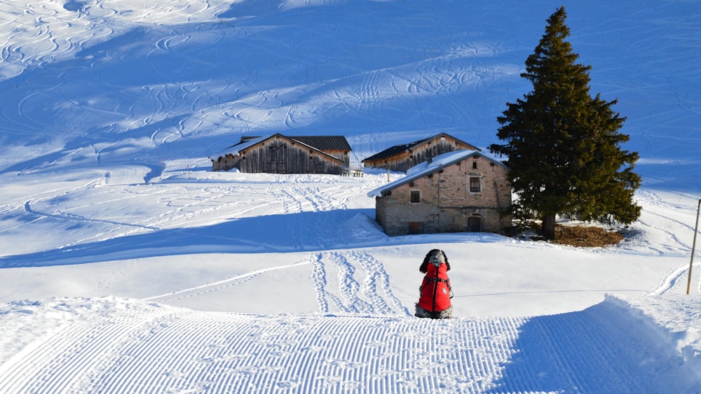 a woman in a red coat is standing in the snow