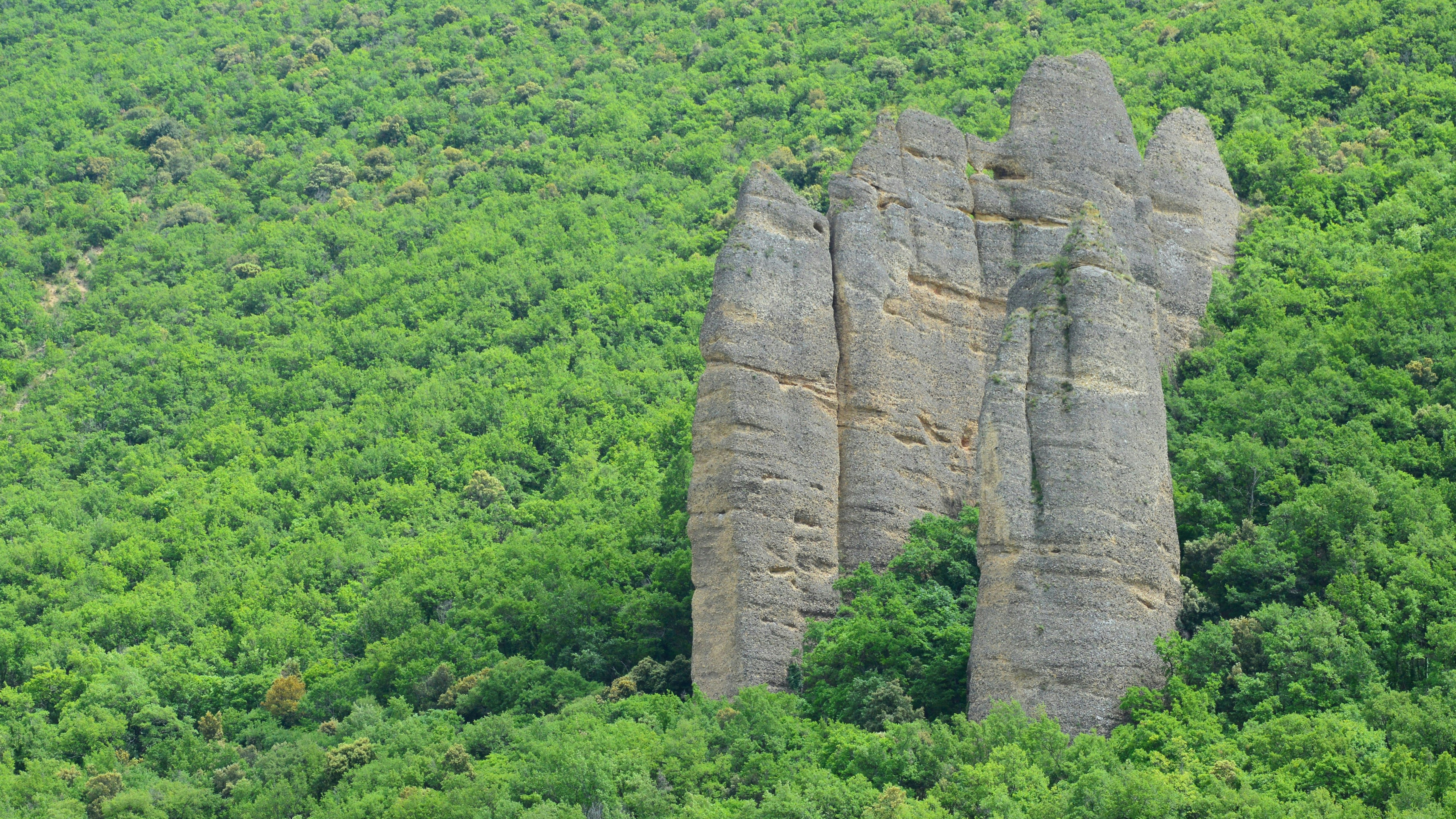 a large rock formation in the middle of a forest