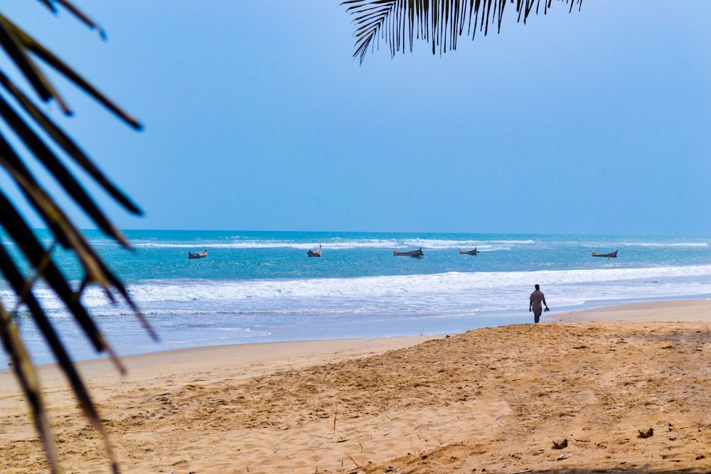 a person standing on a beach next to the ocean