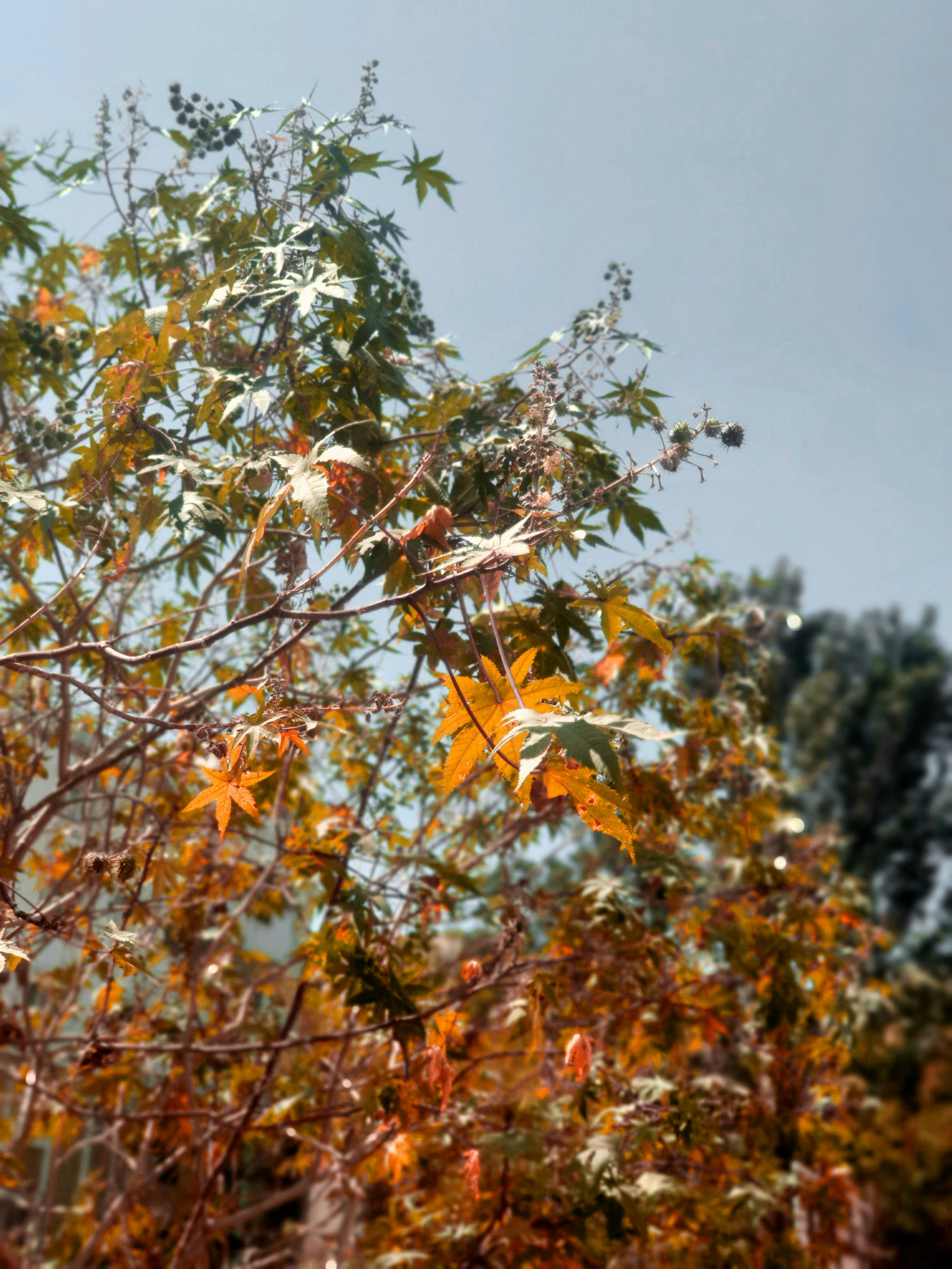 Photo by 5zantrigger