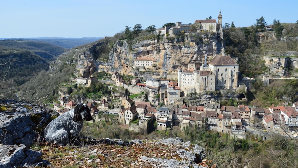 a view of a village on a cliff