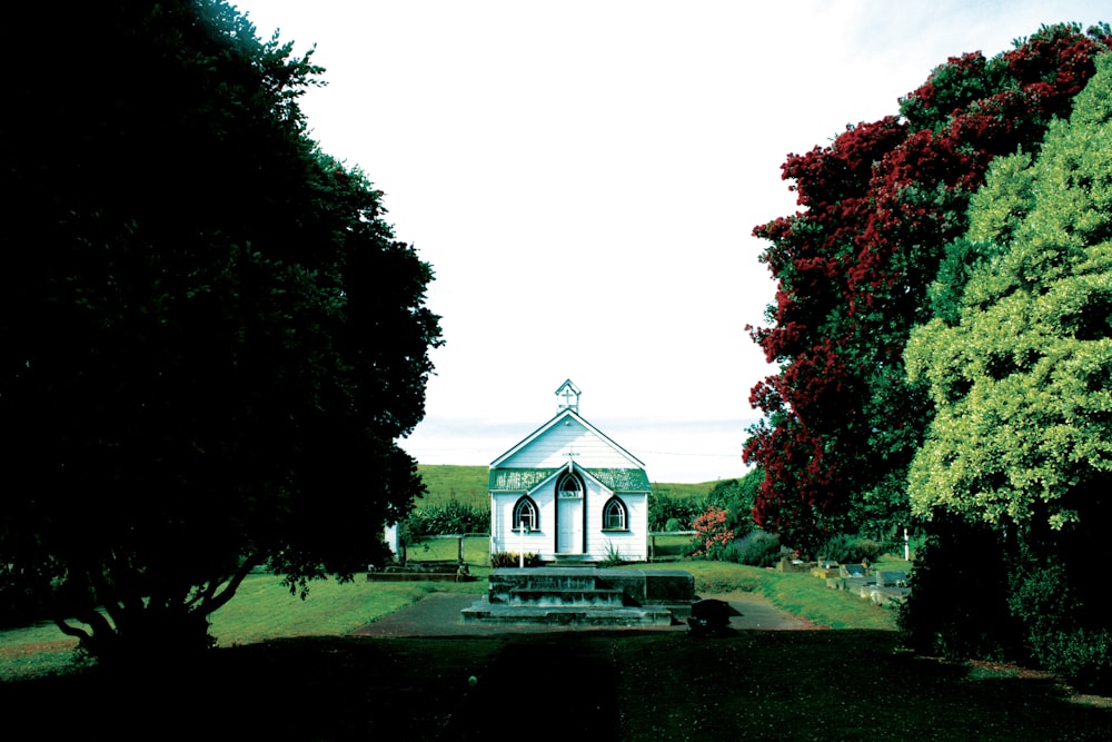 a small white church surrounded by trees and bushes