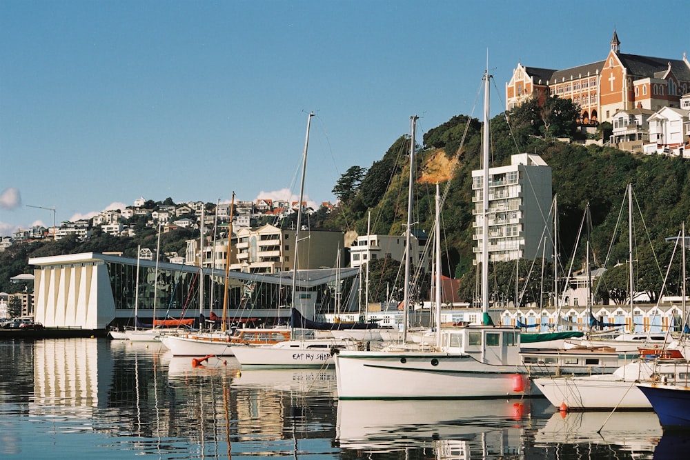 a harbor filled with lots of white boats