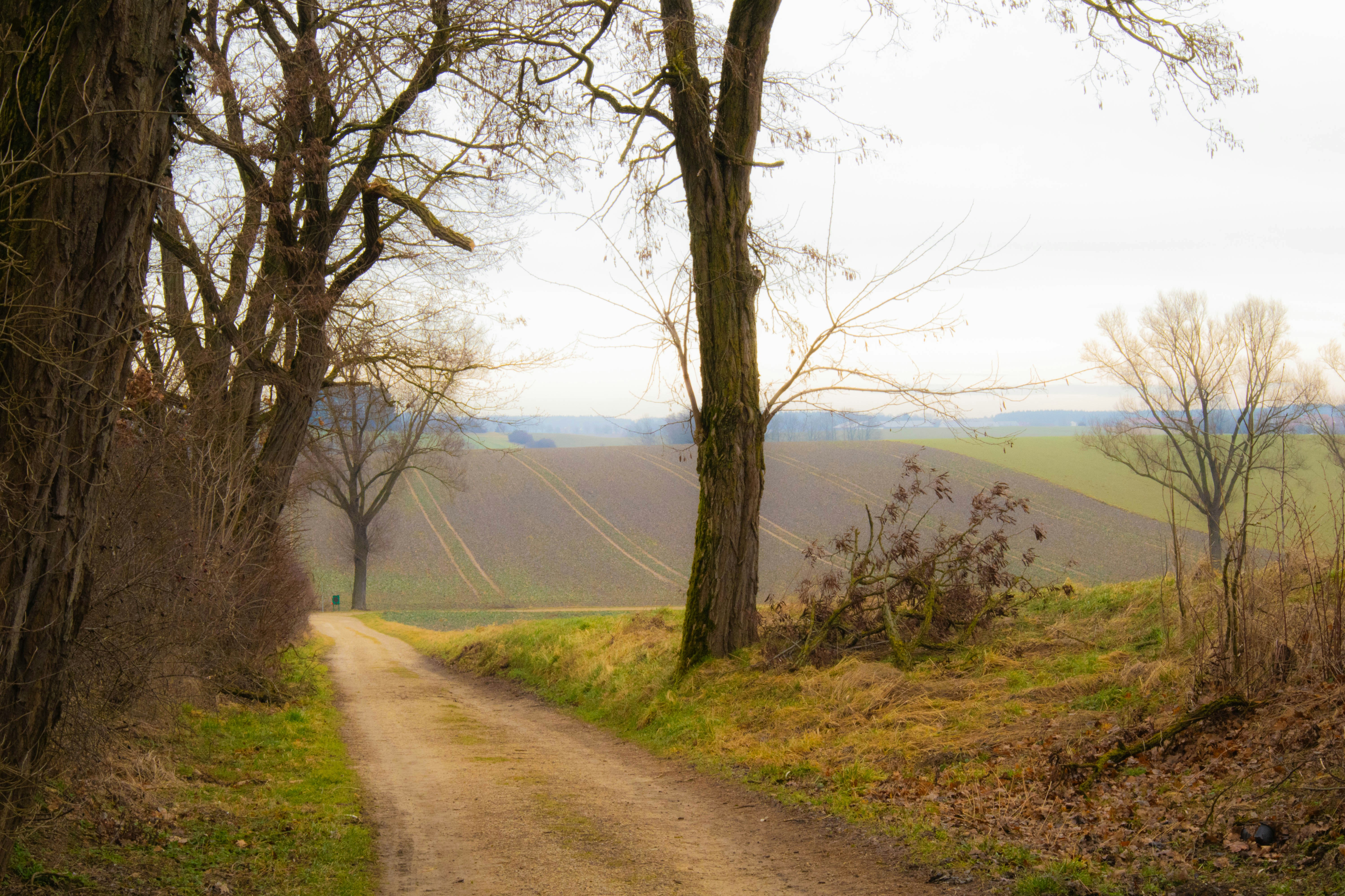 Photo by marko_lengyel