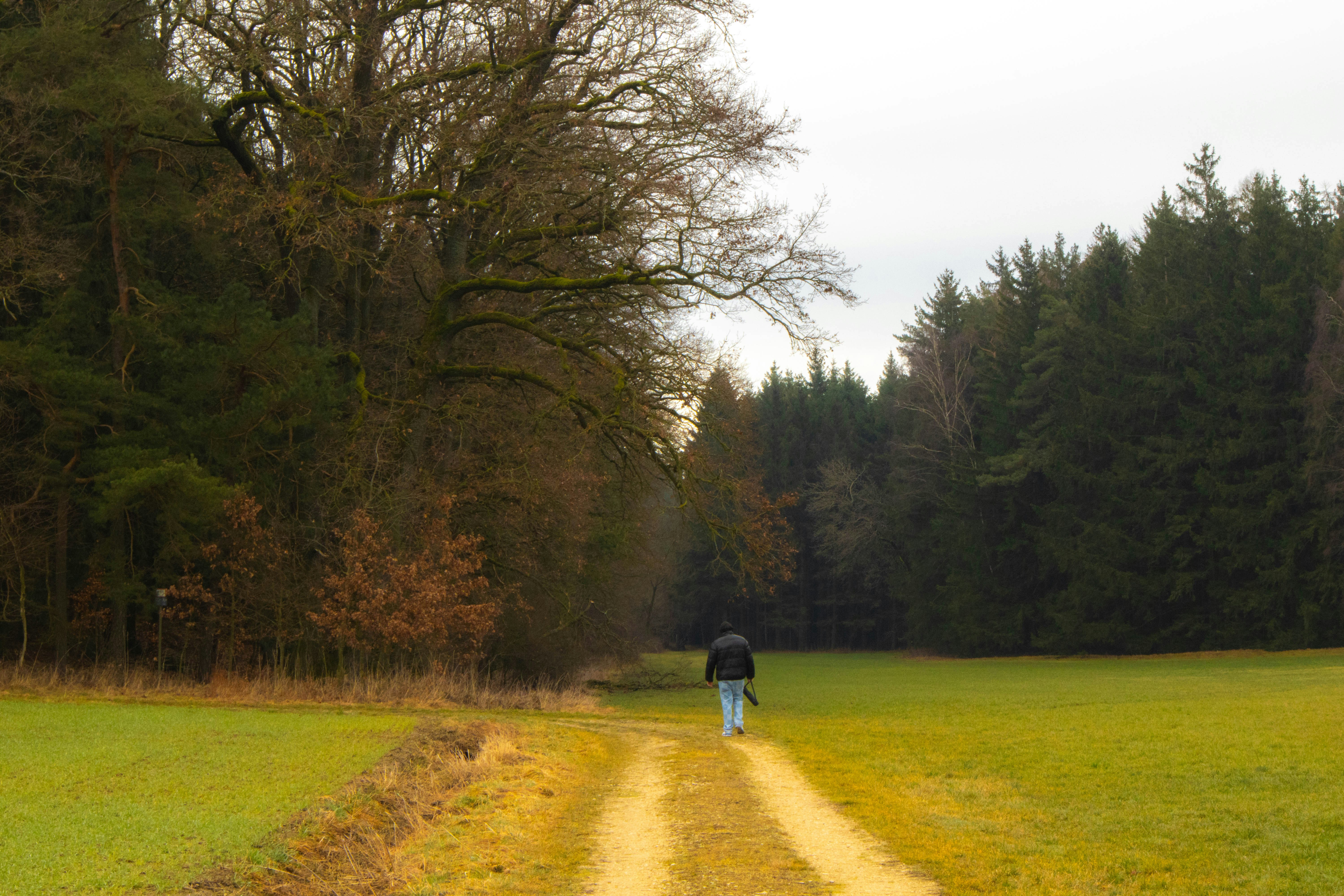 Photo by marko_lengyel