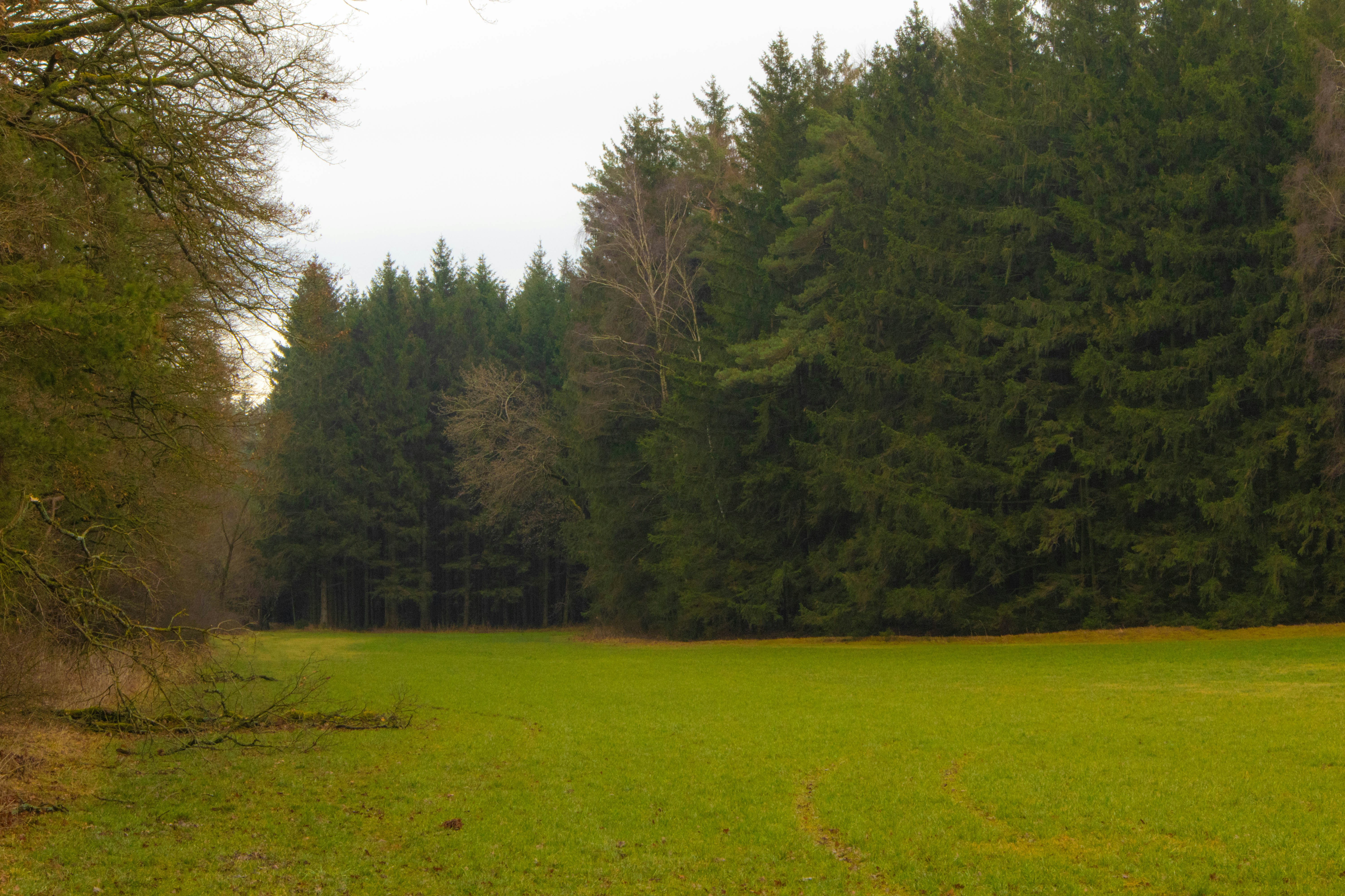 Photo by marko_lengyel