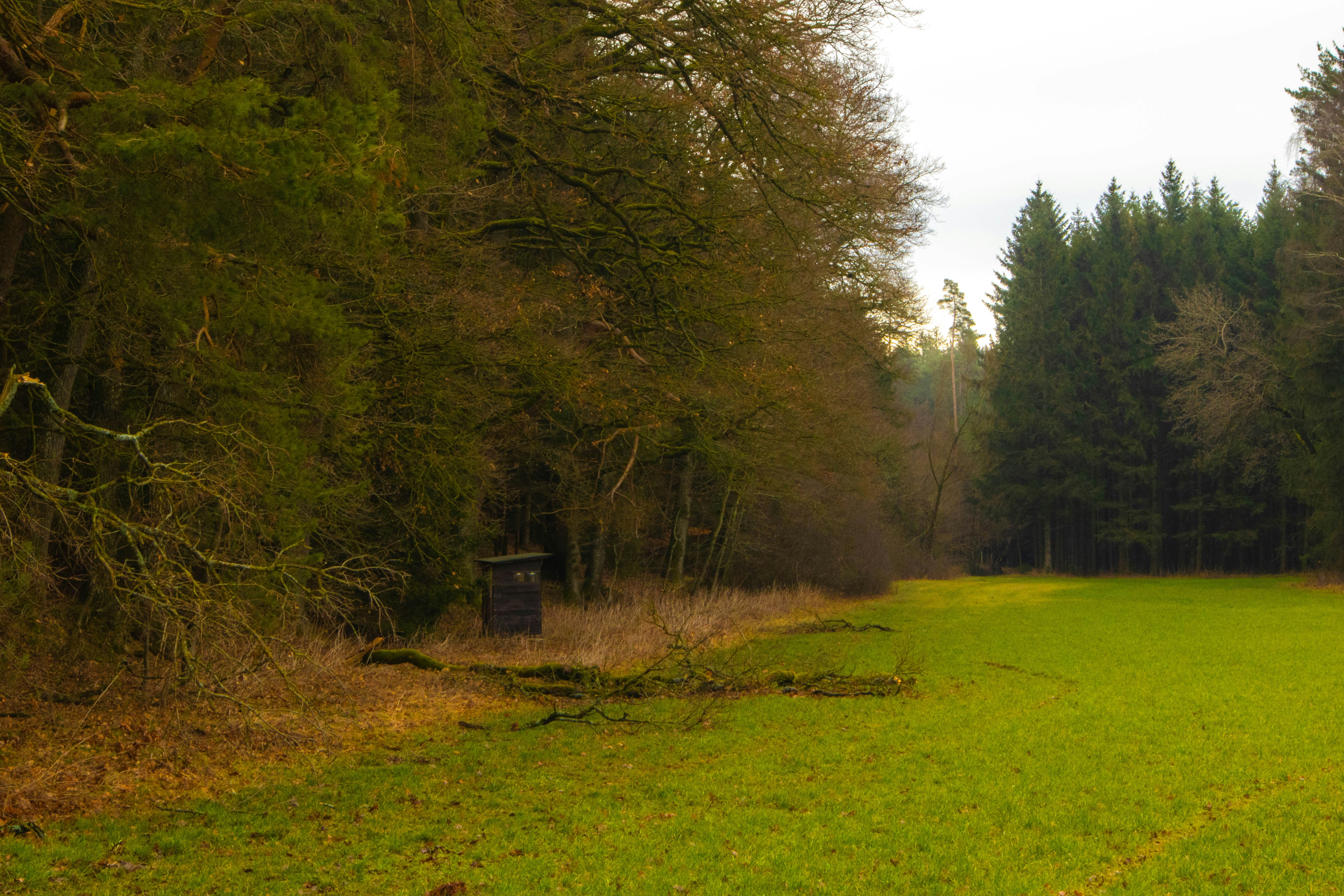 Photo by marko_lengyel