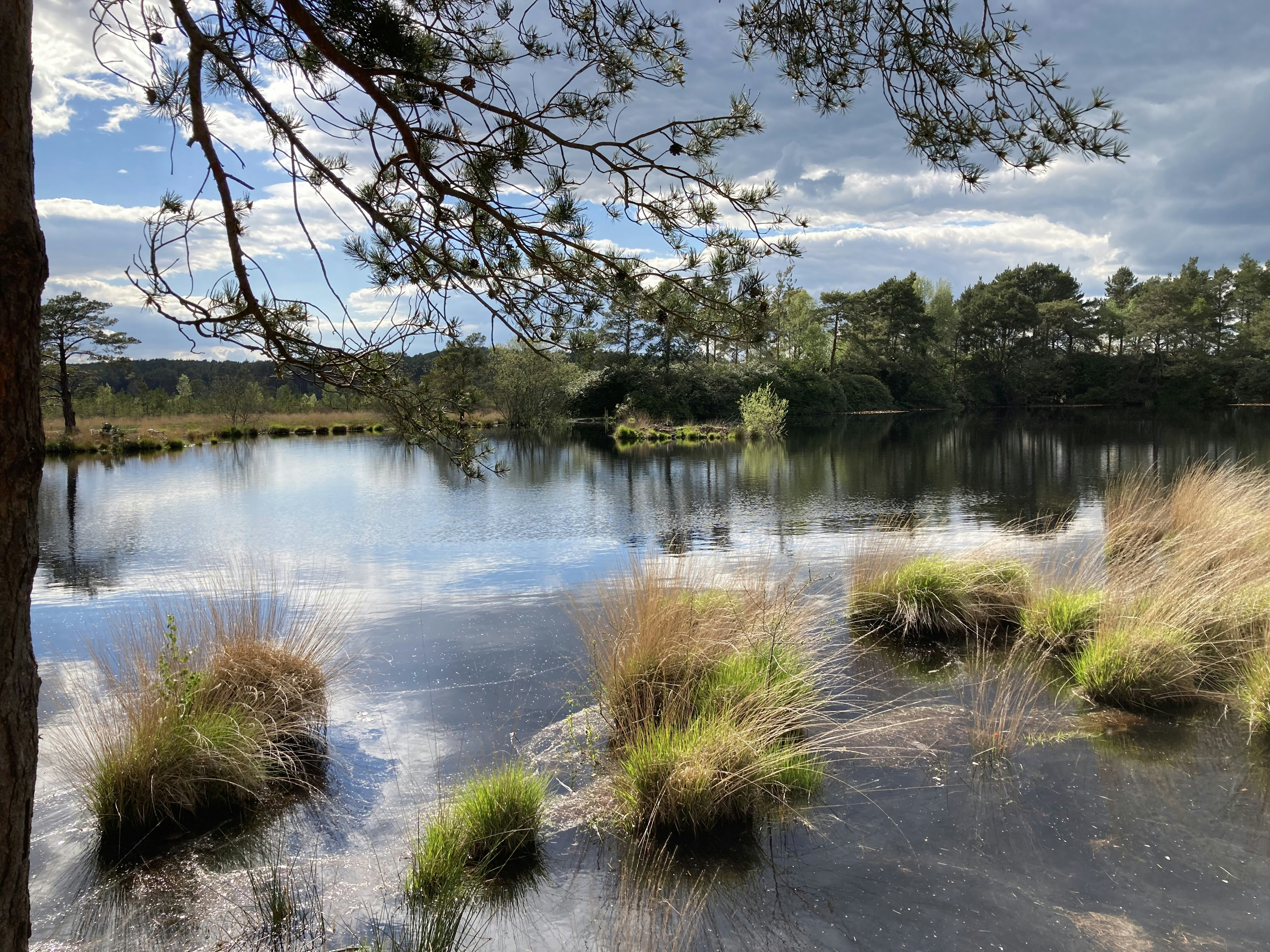 Image by Richard Whatmore via Unsplash