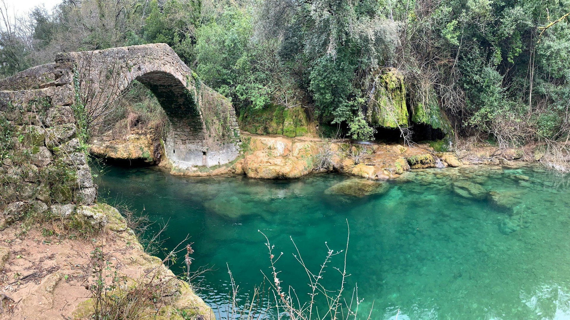 a river with a bridge over it surrounded by trees