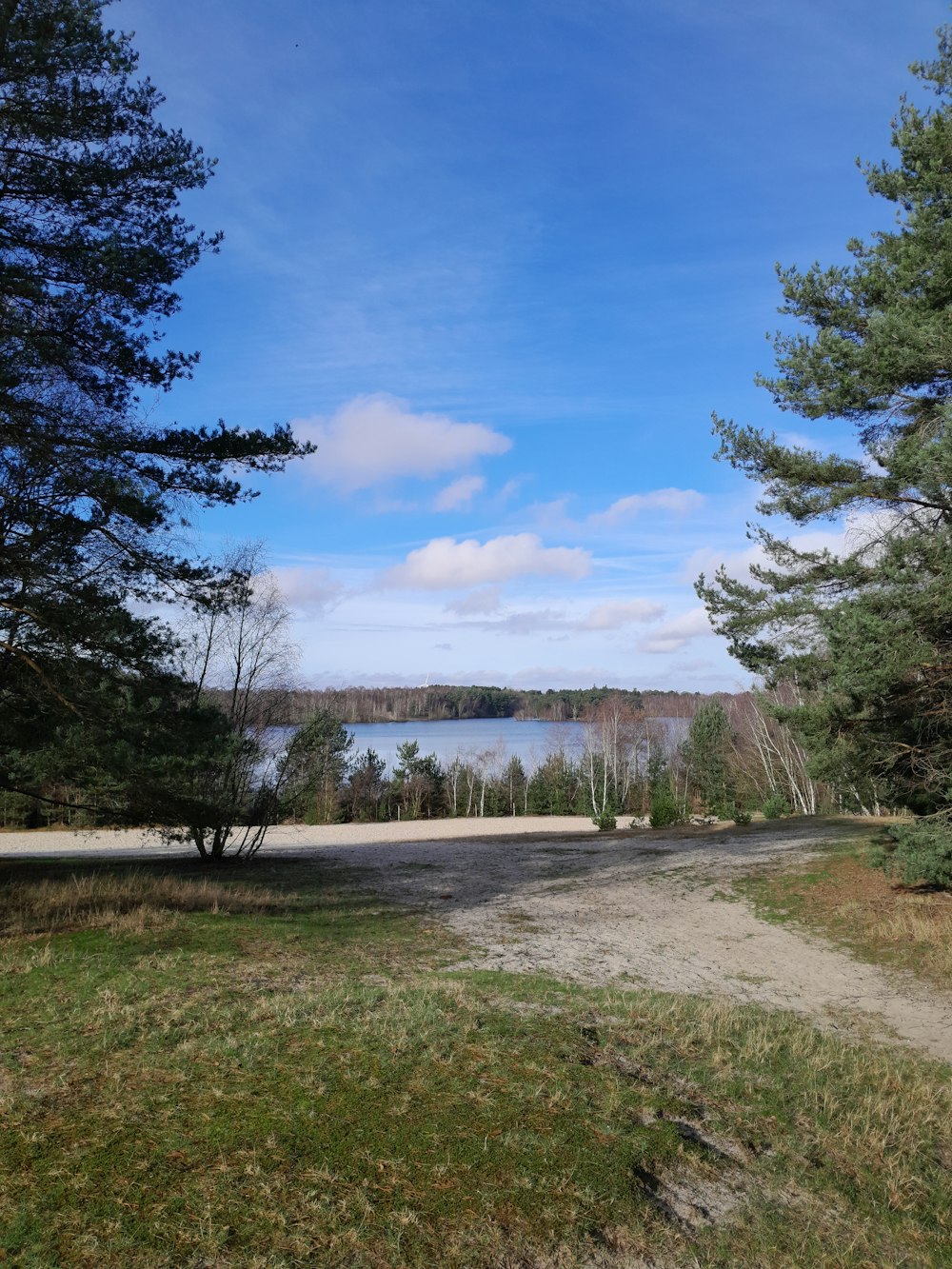 a dirt path leading to a body of water