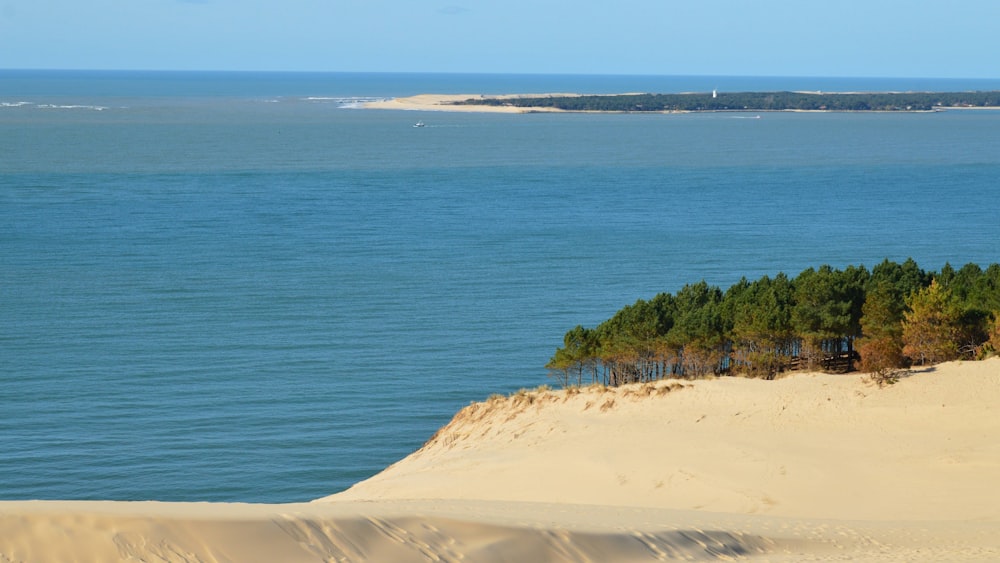 a view of the ocean from a sand dune