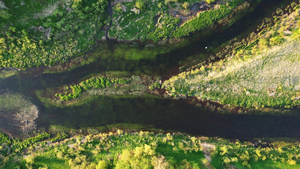 an aerial view of a river running through a lush green forest