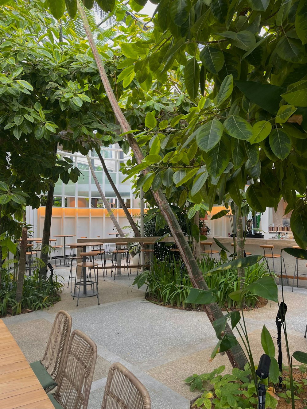 a restaurant with tables and chairs surrounded by trees