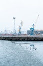 a body of water with a dock and cranes in the background