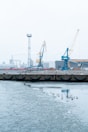 a body of water with a dock and cranes in the background