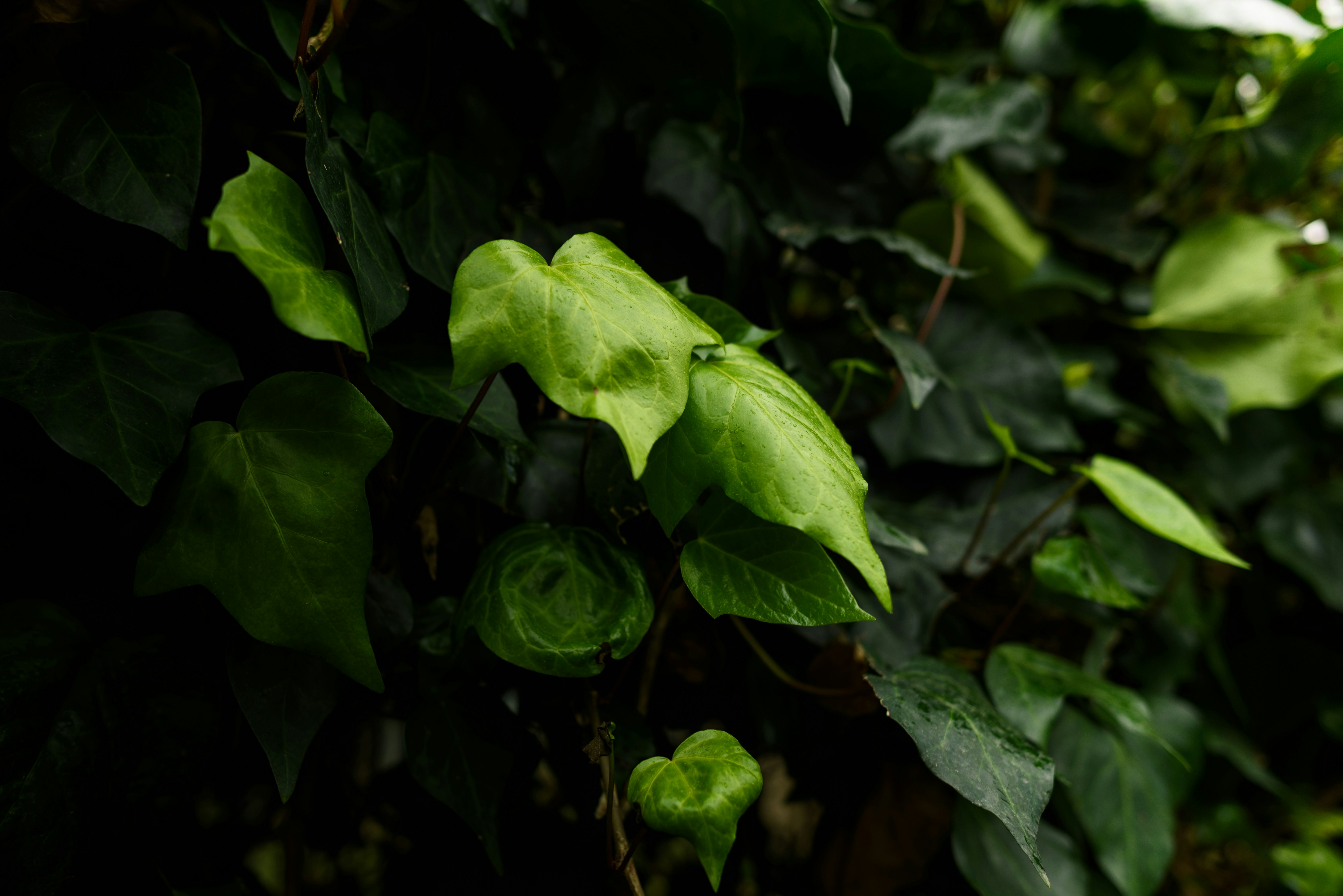 Photo by matteodelpiano