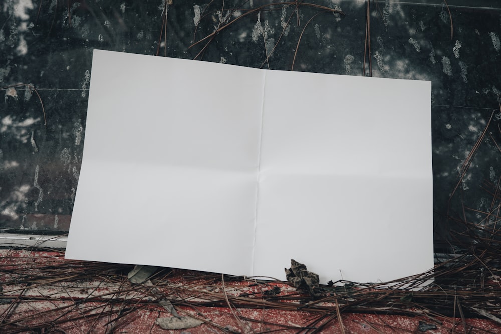 an open book sitting on top of a pile of branches