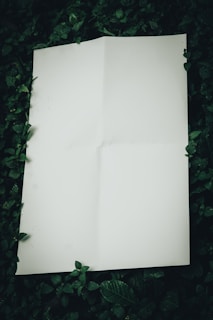 a piece of paper laying on top of a lush green field