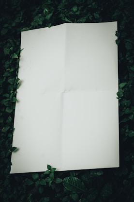 a piece of paper laying on top of a lush green field