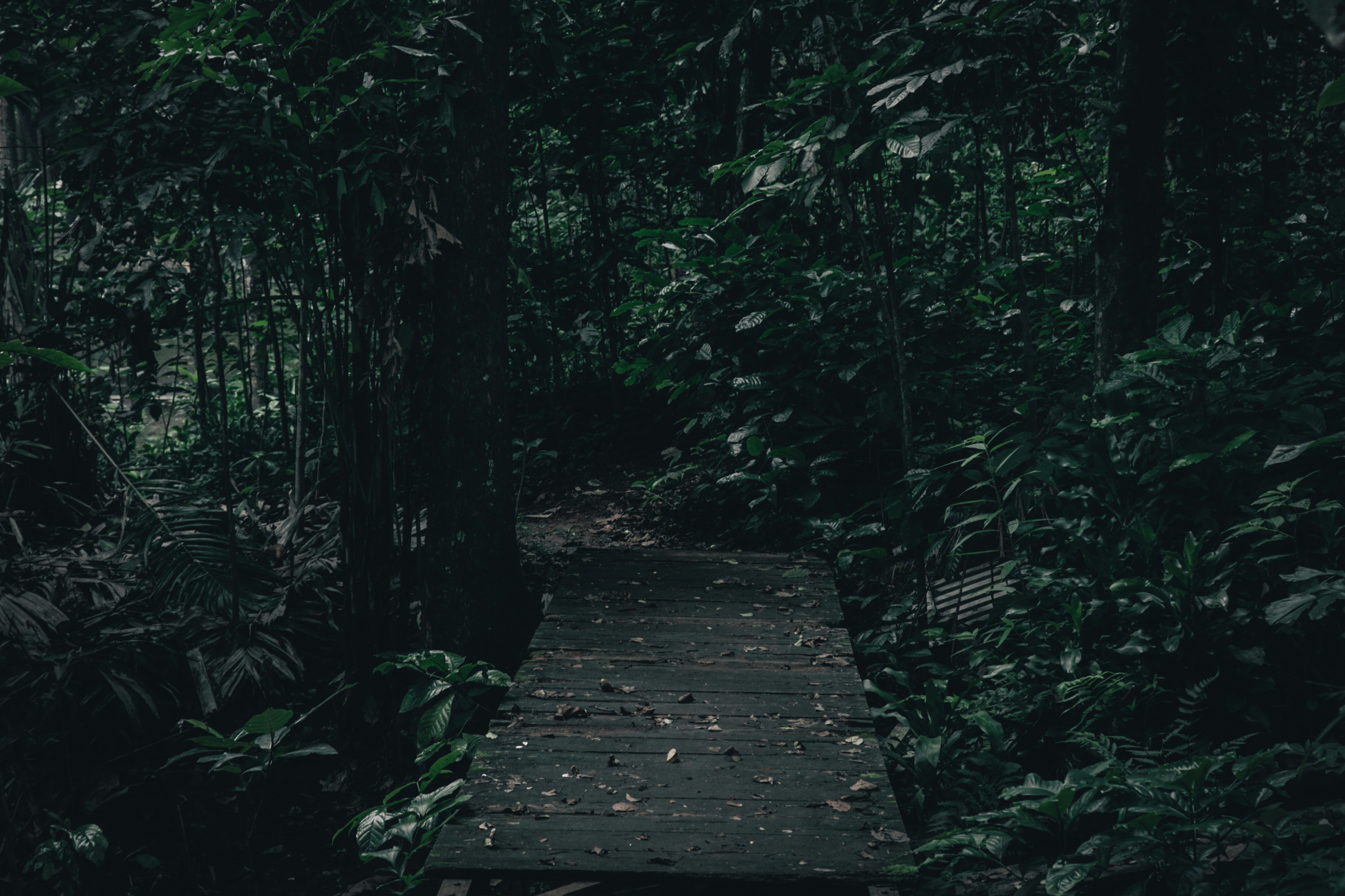 Photo by aseprendi12