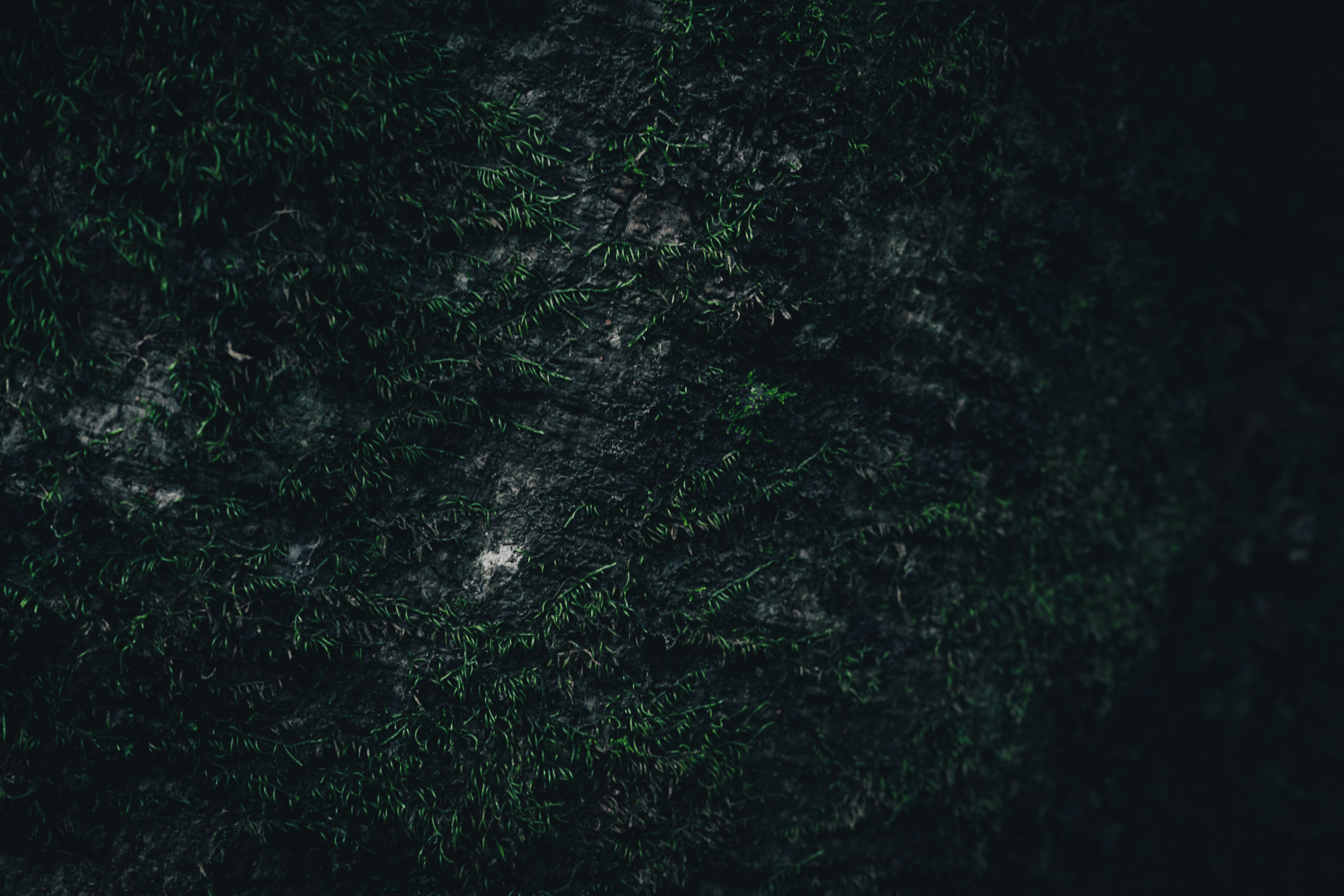 Photo by aseprendi12