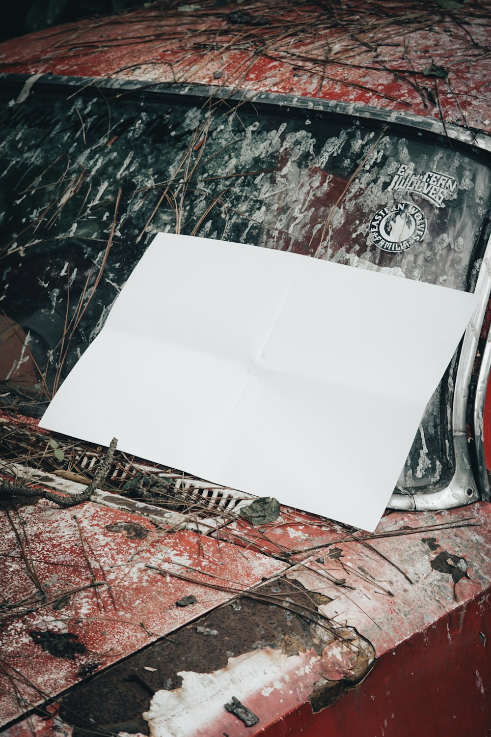 un morceau de papier posé sur le capot d’une voiture
