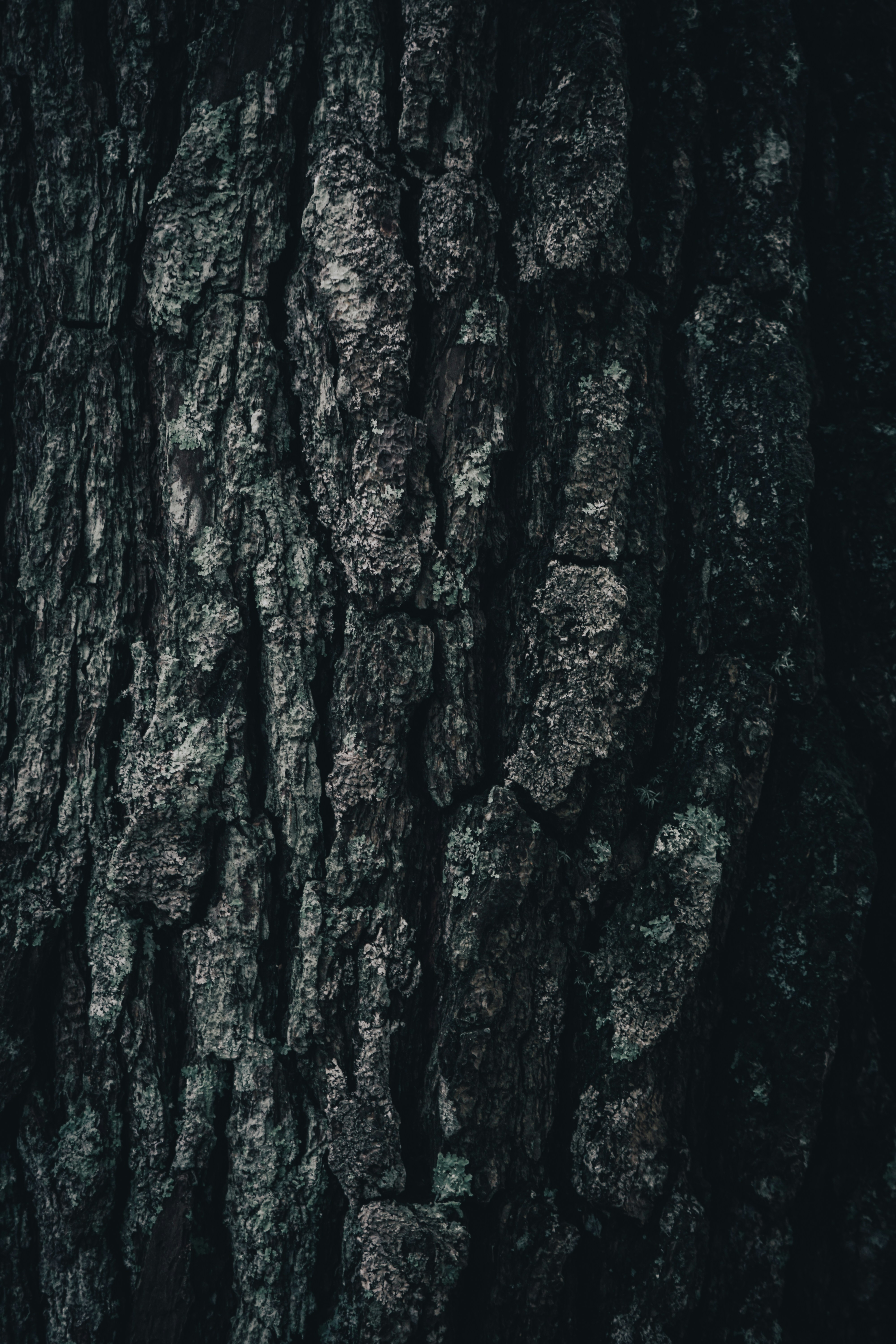 Photo by aseprendi12